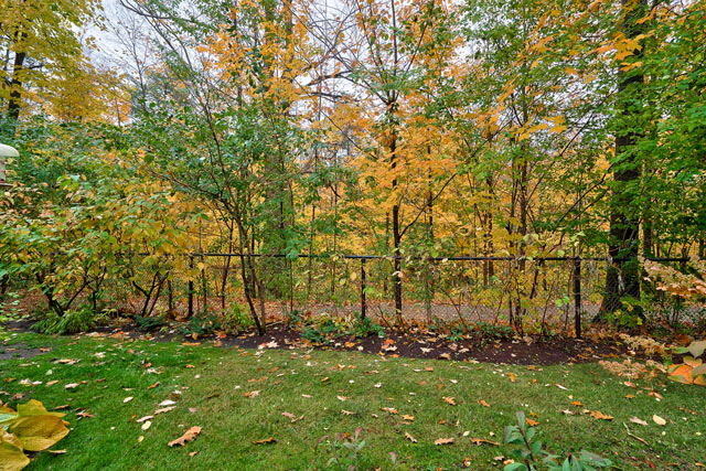 Ravine View