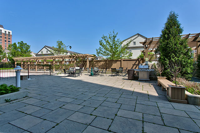 Patio and Barbecue Area