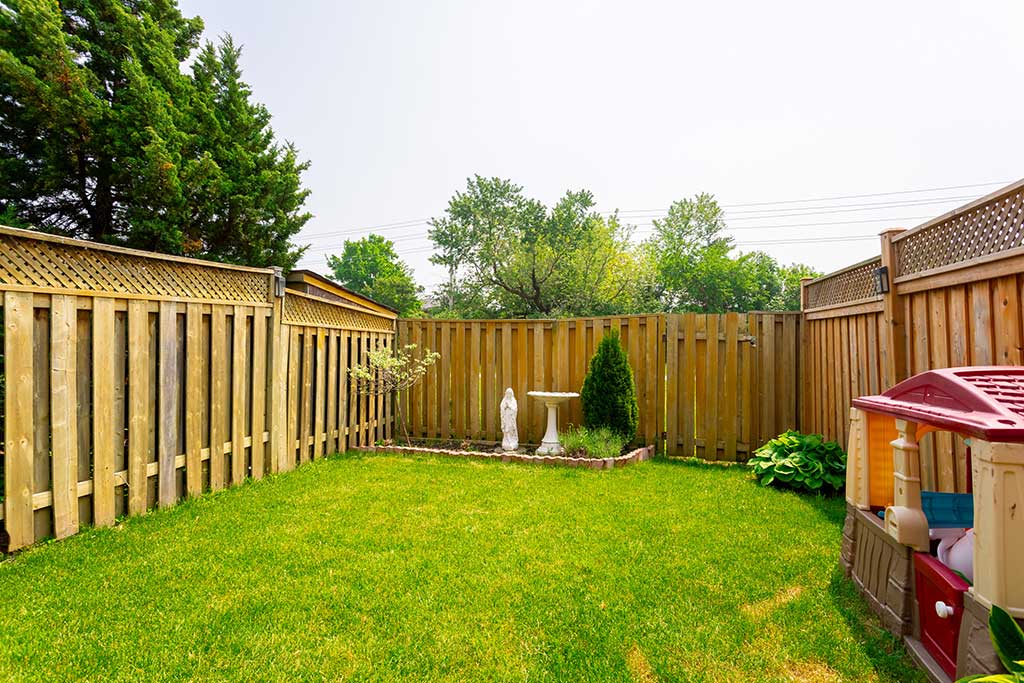 Lawn Area