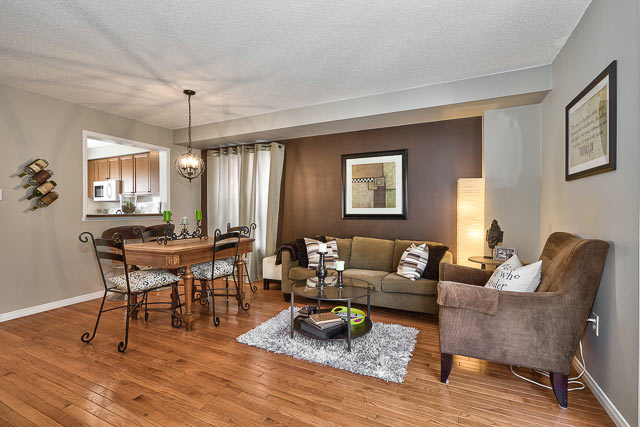 Dining and Living Room Area
