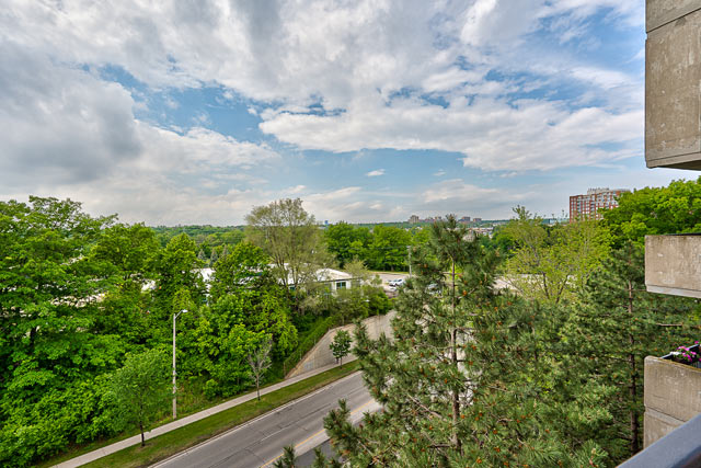 View
